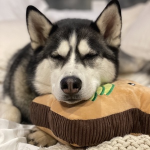 Fundraising Page: Ashley Jacobson